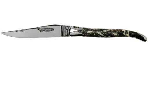 Laguiole En Aubrac 12cm L'Organique L0212B1I/FSI1, Couteau Laguiole -Spyder Couteau Magasin AUL0212B1I FSI1 01 laguiole en aubrac