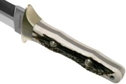 Böker Arbolito Colmillo Stag 02BA918HH Poignard, Bois De Cerf -Spyder Couteau Magasin BO02BA918HH 05 boker
