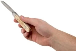 Böker Barlow Prime Curly Birch 111942 Couteau De Poche -Spyder Couteau Magasin BO111942 08 boker