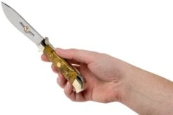 Böker Försternicker Anniversary Edition 125517 Couteau De Chasse 15 Böker Försternicker Anniversary Edition 125517 Couteau De Chasse -Spyder Couteau Magasin BO125517 06 boker