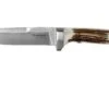 Böker Vollintegral 2.0 XL Hertshoorn 125638 Couteau De Chasse -Spyder Couteau Magasin BO125638 01 boker