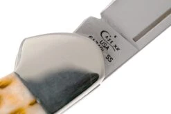 Case Mini Copperlock Amber Jigged Bone, 00133, 61749L SS Couteau De Poche -Spyder Couteau Magasin CE133 05 case ce133 05