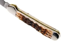 Case Mini Copperlock Amber Jigged Bone, 00133, 61749L SS Couteau De Poche -Spyder Couteau Magasin CE133 06 case ce133 06