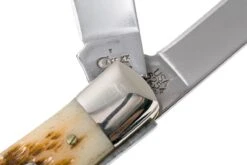 Case Trapper Amber Jigged Bone, 00164, 6254 SS Couteau De Poche 16 Case Trapper Amber Jigged Bone, 00164, 6254 SS Couteau De Poche -Spyder Couteau Magasin CE164 06 case ce164 06