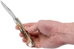 Case Trapper Amber Jigged Bone, 00164, 6254 SS Couteau De Poche 19 Case Trapper Amber Jigged Bone, 00164, 6254 SS Couteau De Poche -Spyder Couteau Magasin CE164 09 case ce164 09