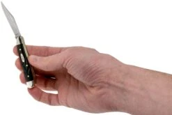 Case Peanut Rough Black Synthetic, 18225, 6220 SS Couteau De Poche 11 Case Peanut Rough Black Synthetic, 18225, 6220 SS Couteau De Poche -Spyder Couteau Magasin CE18225 05 case