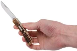 Case Sod Buster Jr Amber Jigged Bone, 00245, 6137 SS Couteau De Poche -Spyder Couteau Magasin CE245 09 case ce245 09