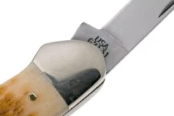 Case Canoe Amber Jigged Bone, 00263, 62131 CV Couteau De Poche -Spyder Couteau Magasin CE263 06 case ce263 06