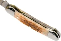 Case Canoe Amber Jigged Bone, 00263, 62131 CV Couteau De Poche -Spyder Couteau Magasin CE263 08 case ce263 08