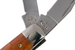 Case Mini Trapper Smooth Chestnut Bone, 28700, 6207 SS Couteau De Poche -Spyder Couteau Magasin CE28700 06 case ce28700 06