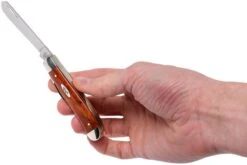 Case Mini Trapper Smooth Chestnut Bone, 28700, 6207 SS Couteau De Poche -Spyder Couteau Magasin CE28700 09 case ce28700 09