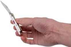 Case Peanut Sparxx White Synthetic, 60188, 6220 SS Couteau De Poche 21 Case Peanut Sparxx White Synthetic, 60188, 6220 SS Couteau De Poche -Spyder Couteau Magasin CE60188 10 case ce60188 10