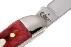 Case Small Texas Toothpick Pocket Worn Old Red Bone 00792 610096 SS Couteau -Spyder Couteau Magasin CE792 05 case ce792 05