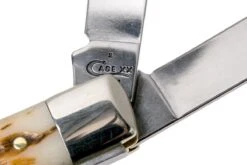 Case Stockman Amber Jigged Bone, 00079, 63032 CV Couteau De Poche -Spyder Couteau Magasin CE79 06 case ce79 06