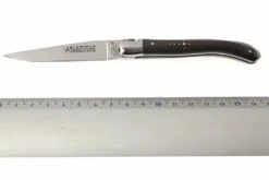 Fontenille Pataud XS Pointe De Corne Noire L4PCN -Spyder Couteau Magasin FPL4PCN 06 fontenille pataud fpl4pcn d5