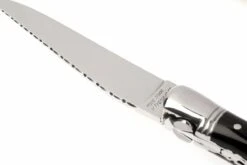 Fontenille Pataud « Nature » Pointe De Corne Noire L6PCNTG -Spyder Couteau Magasin FPL6PCNTG 05 fontenille pataud fpl6pcntg d5