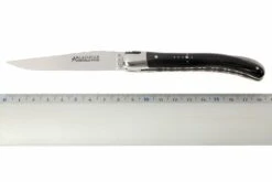 Fontenille Pataud « Le Pocket » Guillochée, Corne De Buffle Noire FPL9PCNTG -Spyder Couteau Magasin FPL9PCNTG 05 fontenille pataud fpl9pcntg d5