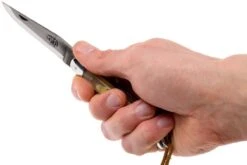 Forge De Laguiole 12110INCABDF, Corne D'Aubrac -Spyder Couteau Magasin LA12110INCABDF 07 forge de laguiole la12110incabdf 07