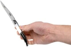 Forge De Laguiole Airbus A350 1211 INAIRBUS Couteau Laguiole -Spyder Couteau Magasin LA1211INAIRBUS 07 forge de laguiole