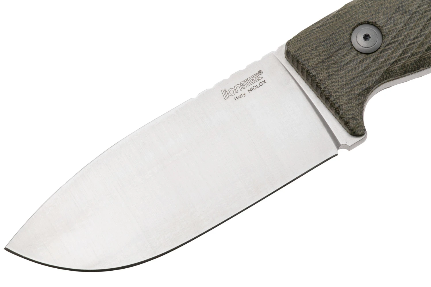 LionSteel M3 M3-CVG Green Canvas Micarta, Couteau Fixe 5 LionSteel M3 M3-CVG Green Canvas Micarta, Couteau Fixe â Image 3