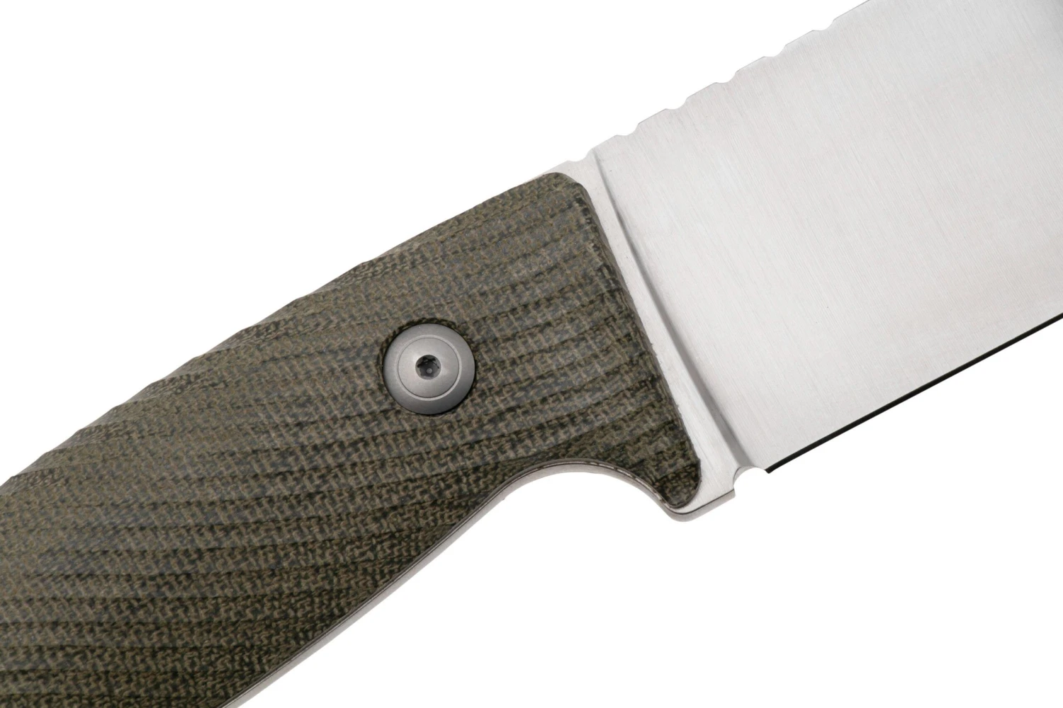 LionSteel M3 M3-CVG Green Canvas Micarta, Couteau Fixe 7 LionSteel M3 M3-CVG Green Canvas Micarta, Couteau Fixe â Image 5