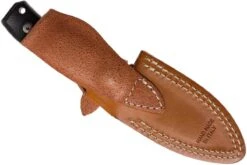 LionSteel M4-G10 M390, G10 Handle -Spyder Couteau Magasin LI M4 G10 08 lionsteel li m4 g10 08