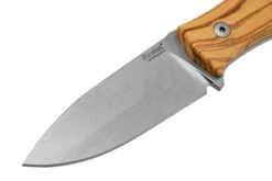 Lionsteel M4 Olive MagnaCut M4-MC-UL, Knivesandtools Exclusive, Couteau Fixe -Spyder Couteau Magasin LI M4 MC UL 03 lionsteel