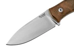 Lionsteel M4 Walnut MagnaCut M4-MC-WN, Knivesandtools Exclusive, Couteau Fixe -Spyder Couteau Magasin LI M4 MC WN 03 lionsteel