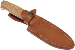 Lionsteel M5 - Olive Wood, Sleipner -Spyder Couteau Magasin LI M5 UL 06 lionsteel li m5 ul 06