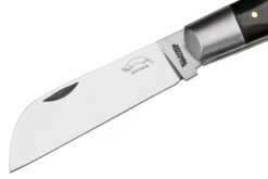 Otter Anchor Knife 173 M.L. Large Carbon, Grenadilla, Brass Anchor, Couteau De Poche 11 Otter Anchor Knife 173 M.L. Large Carbon, Grenadilla, Brass Anchor, Couteau De Poche -Spyder Couteau Magasin OR173ML 03 otter