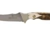 PUMA Waidwerk, Staghorn 113440 Couteau De Chasse -Spyder Couteau Magasin PU113440 01 puma