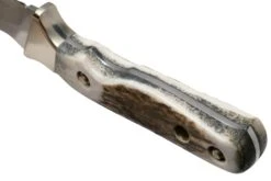 PUMA Waidwerk, Staghorn 113440 Couteau De Chasse -Spyder Couteau Magasin PU113440 05 puma