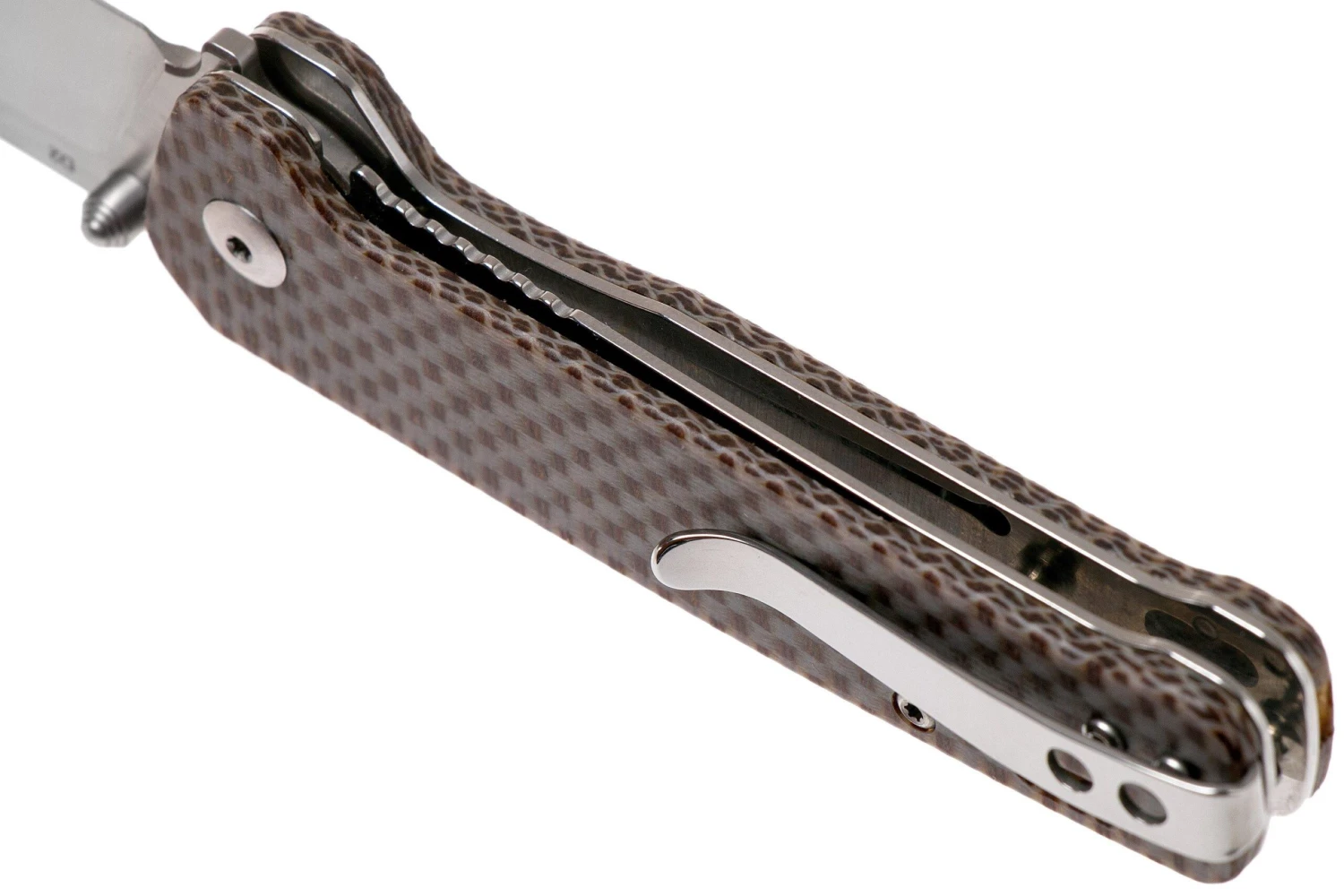 QSP Knife Penguin QS130-A Brown Texture Micarta, Couteau De Poche 7 QSP Knife Penguin QS130-A Brown Texture Micarta, Couteau De Poche – Image 5