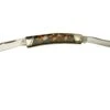 Rough Ryder Imitation Tortoise Moose, RR2436 Couteau De Poche