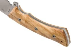 Viper Gianghi V4880UL Olive, Couteau De Chasse -Spyder Couteau Magasin VPV4880UL 04 viper